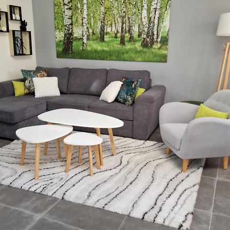 Super Studio Cosy - A 10 Min De Cdg Aeroport - A 30 Min De Paris - A 10 Min Du Salon D'Expo Villepinte Ле-Тие Экстерьер фото